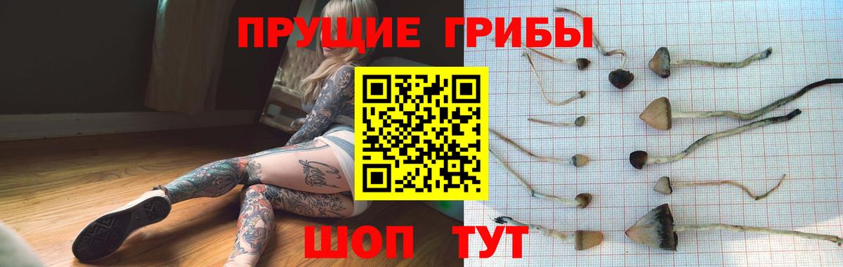 Псилоцибиновые грибы Psilocybine cubensis  Вход с VPN  Ревда 