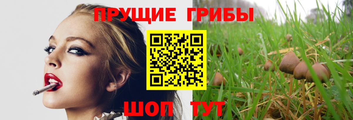 Псилоцибиновые грибы GOLDEN TEACHER Ревда